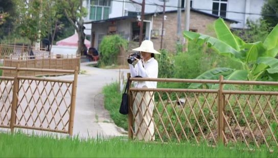 星辉平台-泉州职业技术大学团委到大田开展暑期社会实践活动