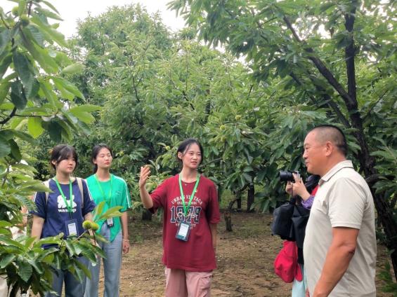 星辉平台-青山资源打底，红韵魅力振兴 ——基于3省4区（县）21村暑期实践的青春探索